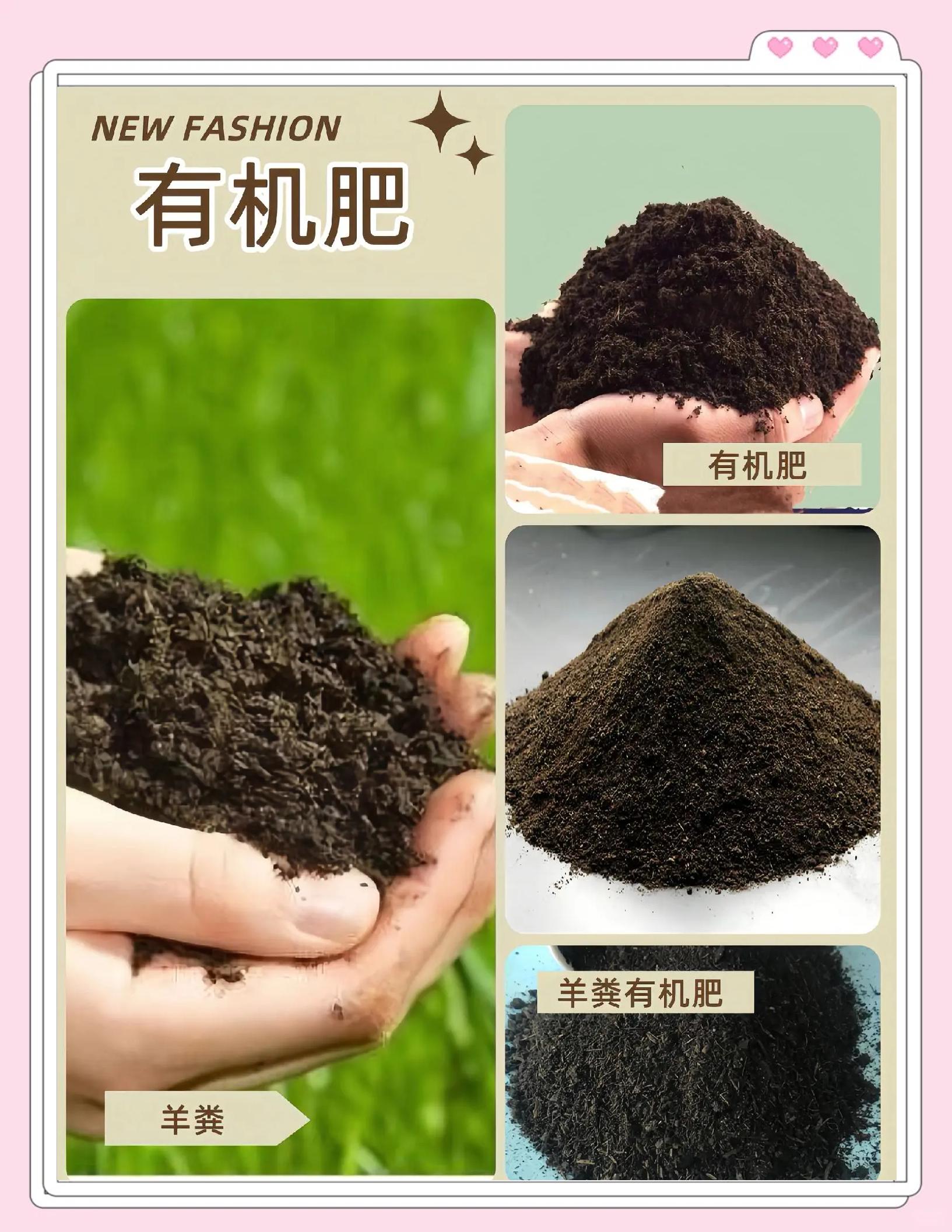 羊粪有机肥:天然肥料的秘密