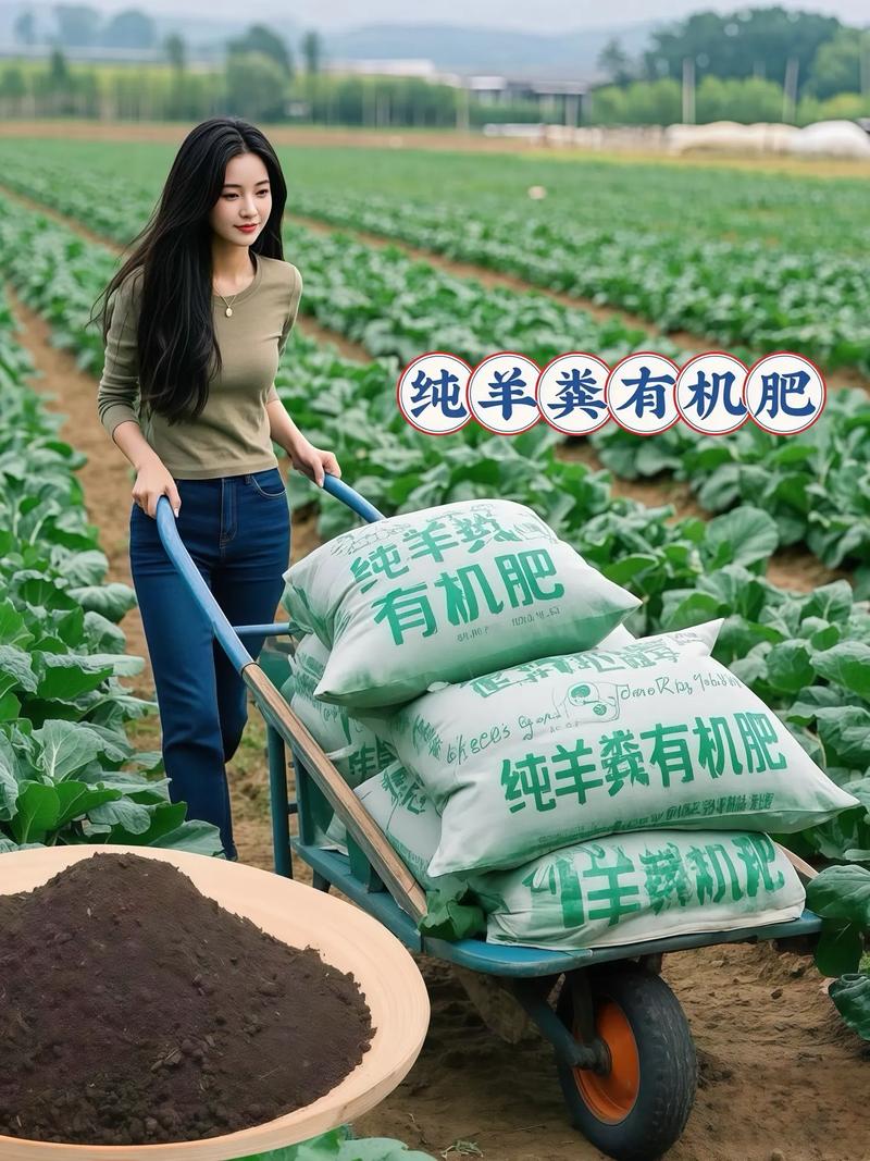 纯羊粪发酵有机肥.还在为种不好瓜果蔬菜,花卉绿植而烦恼?那是